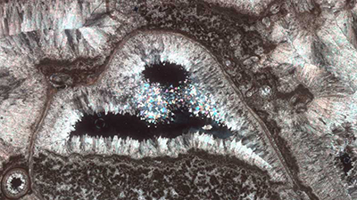 Button Photo by Axel Munnecke