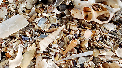 Button Photo by Axel Munnecke