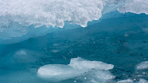 Button Photo by Sebastian Teichert